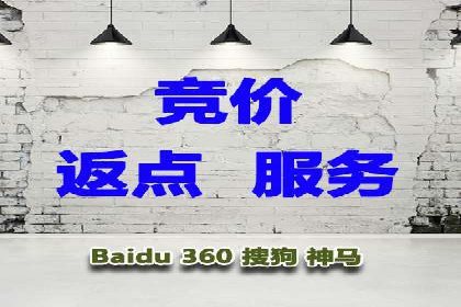 SEM公司成功案例分享：搜索引擎优化的力量
